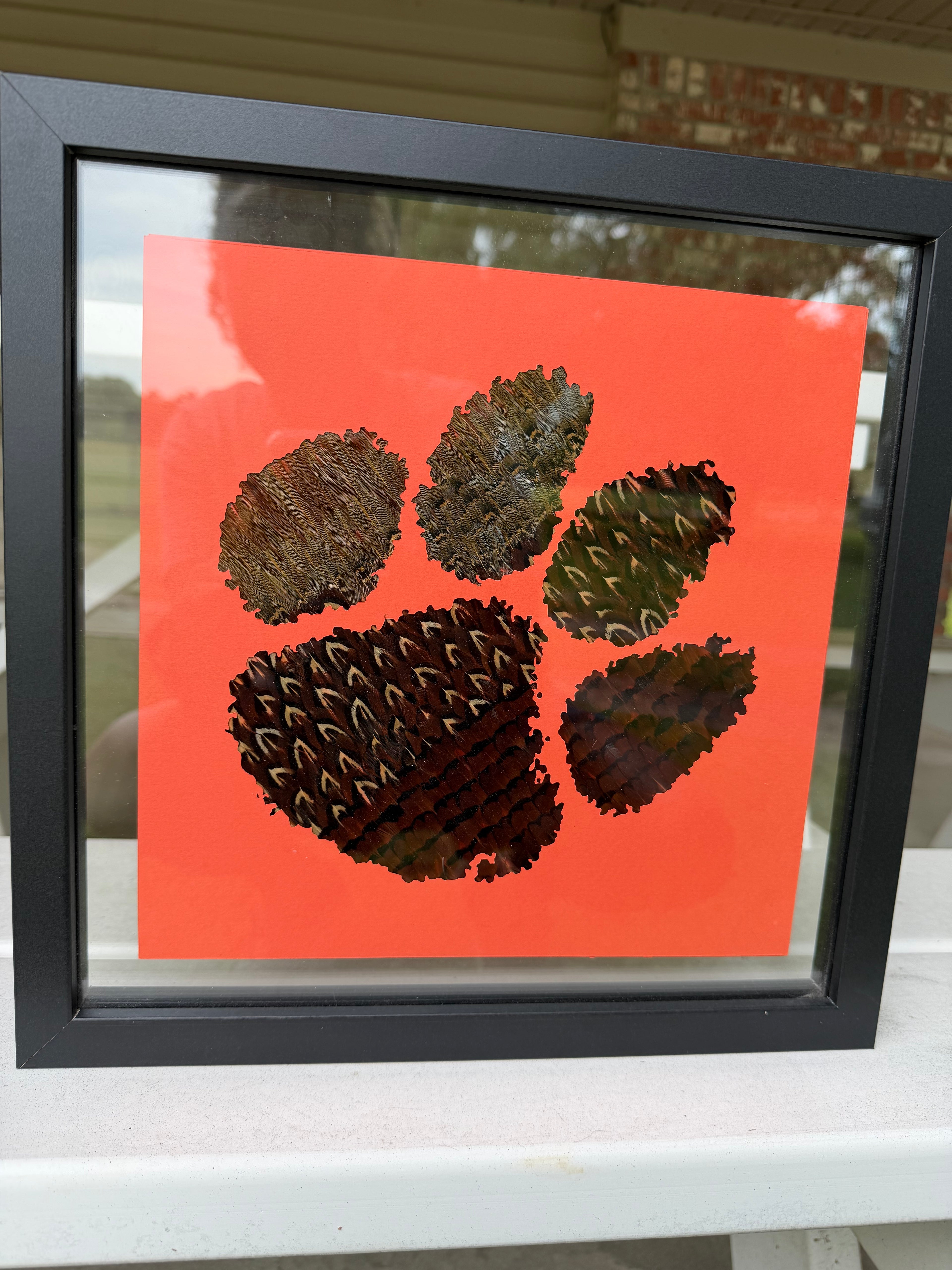 Wild at Heart Paw — Feathered Shadow Box Art