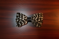 Turkey wing feather bow tie on rich mahogany background with warm amber lighting