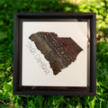 South Carolina pheasant feather art displayed outdoors on green grass