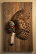 Rustic War Indian Head - No Frame, Wood Background